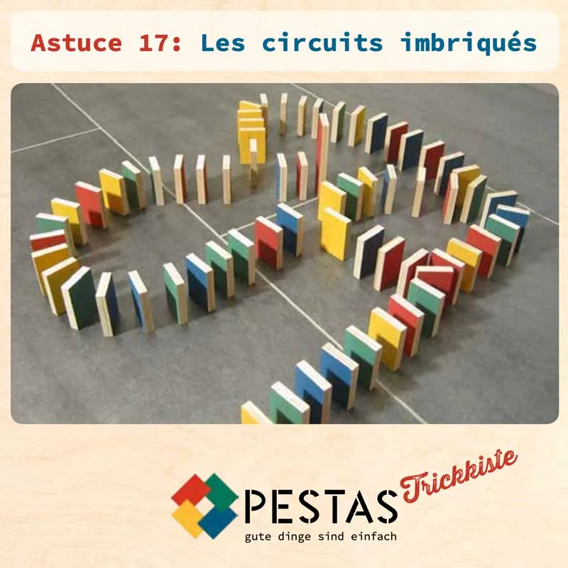 500 Pestas + le set de 24 Astuces 16 500 Pestas + le set de 24 Astuces – Image 16