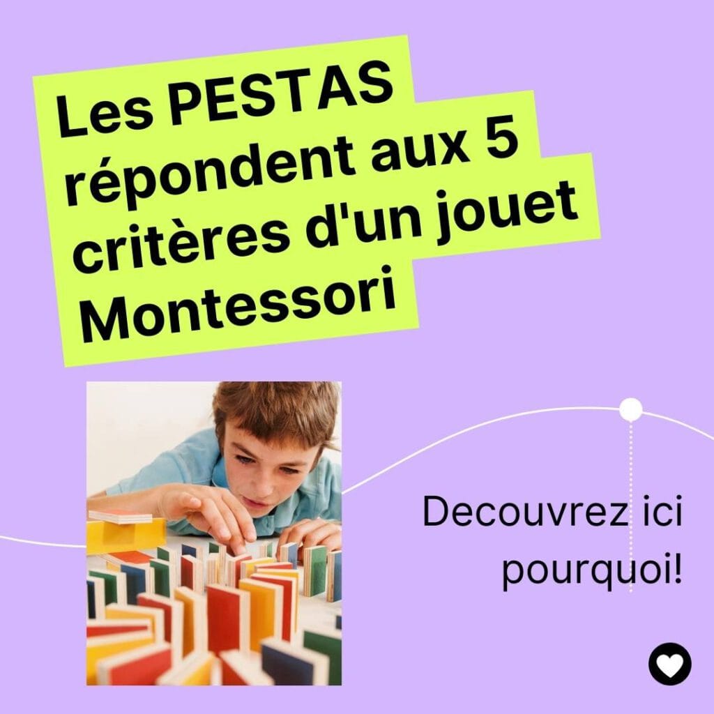 5 critères pour identifier un jeu Montessori en bois 4 Les PESTAS répondent aux 5 critères d'un jouet Montessori